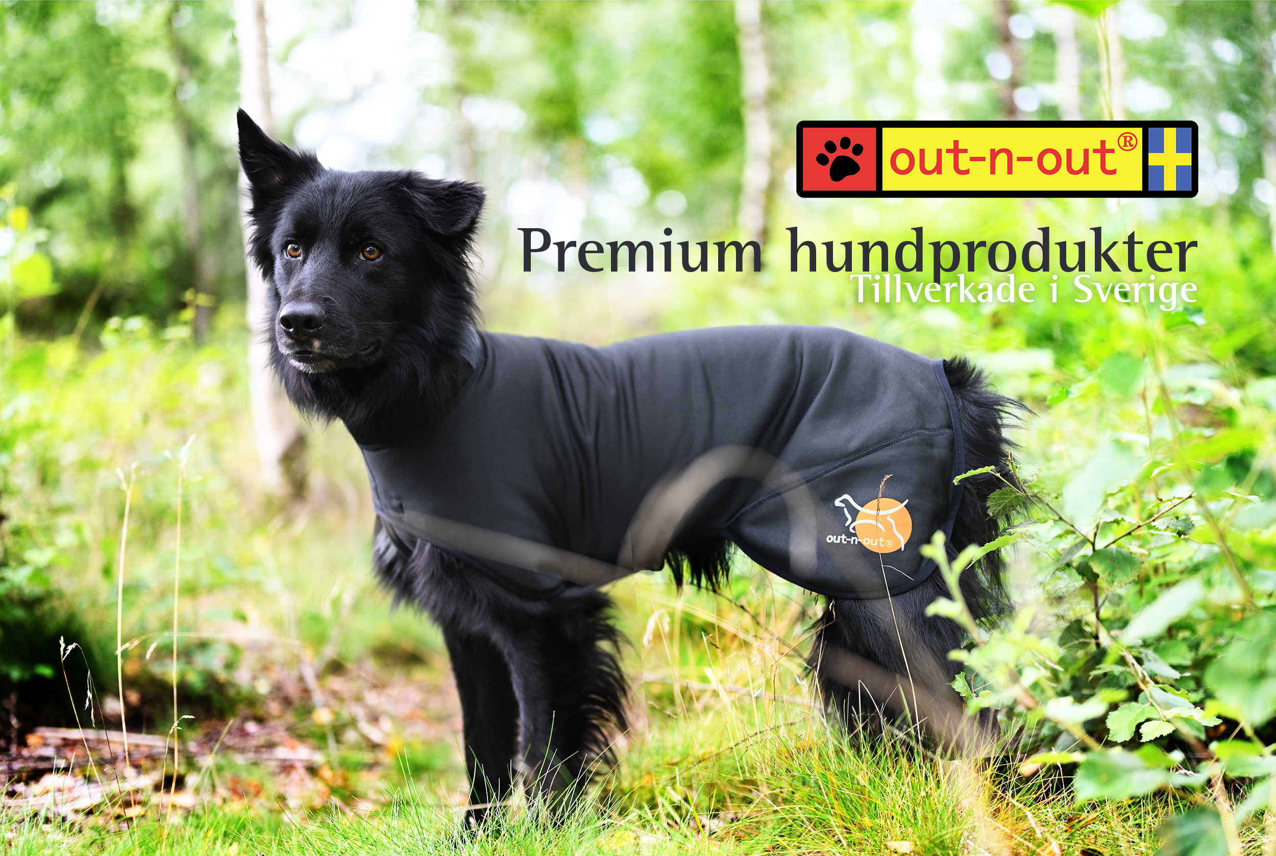 premium hundprodukter