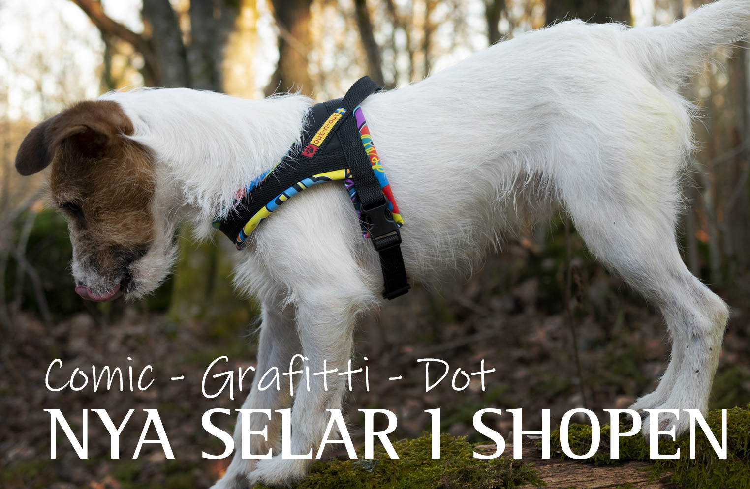 Ny sele till din hund enkel att ta på och av