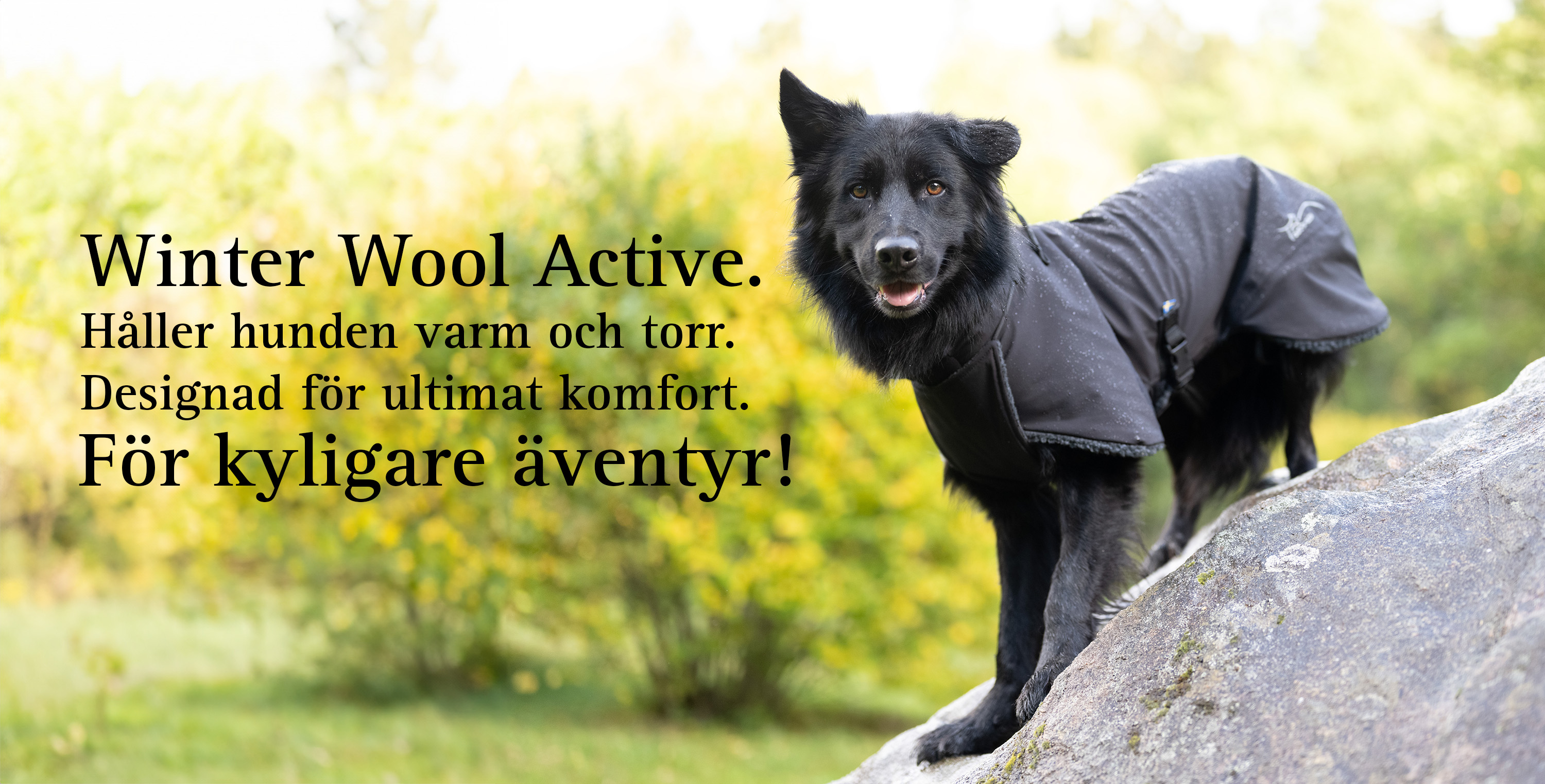 vintertäcke till din hund